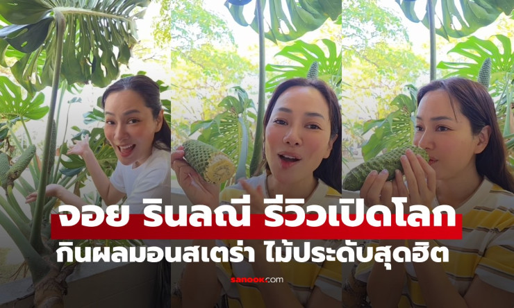จอย รินลณี เปิดโลกกินผลมอนสเตอร่า! ไม้ประดับฮิตอร่อยเปรี้ยวหวาน แต่ชาวเน็ตเตือนระวังเชื้อโรค - fahbvip