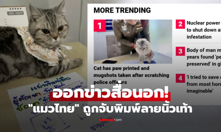ดังไกลถึงสื่อนอก! แมวไทย นับตังค์ ถูกจับพิมพ์ลายเท้า ตร.เผยข้อหาสุดฮาได้มาอย่างไร? - fahbvip