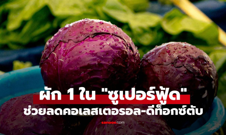 ที่ไทยมี! กะหล่ำปลีม่วง ซูเปอร์ฟู้ดทรงพลัง ลดคอเลสเตอรอล-ดีท็อกซ์ตับ - fahbvip