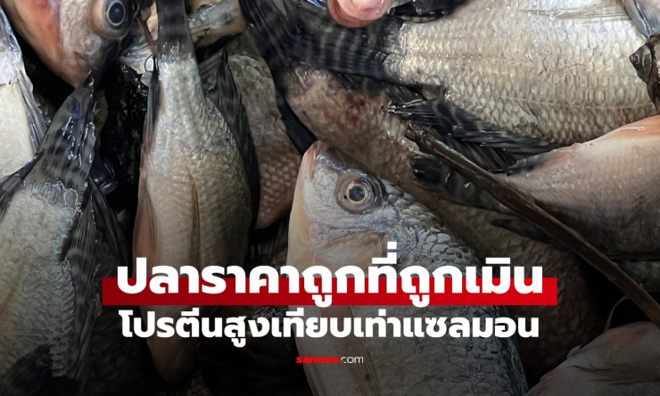 ปลานิล ปลาราคาถูกที่หลายคนเมิน แต่โปรตีนสูงเทียบเท่าแซลมอน ประโยชน์เกินคาด - fahbvip