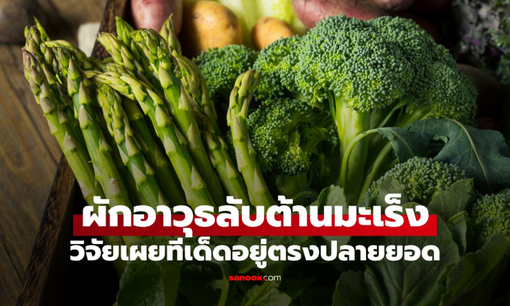 ช็อก! ปลายยอดหน่อไม้ฝรั่ง อาวุธลับถล่มมะเร็งล้ม โรคอ้วนหนีกระเจิง กินแล้วผอม สุขภาพปัง! - fahbvip