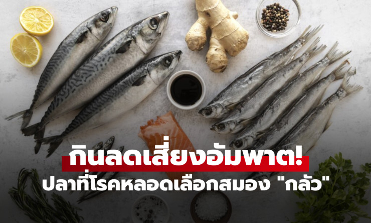 ปลาที่โรคสโตรกกลัวมาก! กินสัปดาห์ละ 2 ครั้ง ลดเสี่ยงอัมพฤกษ์-อัมพาตได้จริง - fahbvip