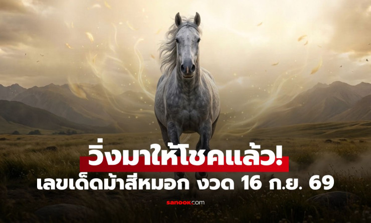 มาแล้ว! เลขเด็ดม้าสีหมอก งวด 16/9/69 เปิดแนวทางเลขเด่น-เลขวิ่ง คอหวยรีบส่องก่อนลุ้น - fahbvip
