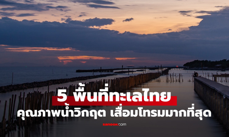 ห้ามลงน้ำ! 5 พื้นที่น้ำทะเลเสื่อมโทรมวิกฤตในไทย ปนเปื้อนหนัก ภัยต่อสุขภาพ - fahbvip
