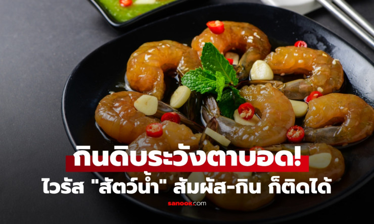 เตือนคนกินดิบต้องอ่าน! ไวรัสจากสัตว์น้ำ โดยเฉพาะกุ้ง แค่สัมผัสก็เสี่ยงติดเชื้อ ถึงขั้นทำร้ายดวงตาและ