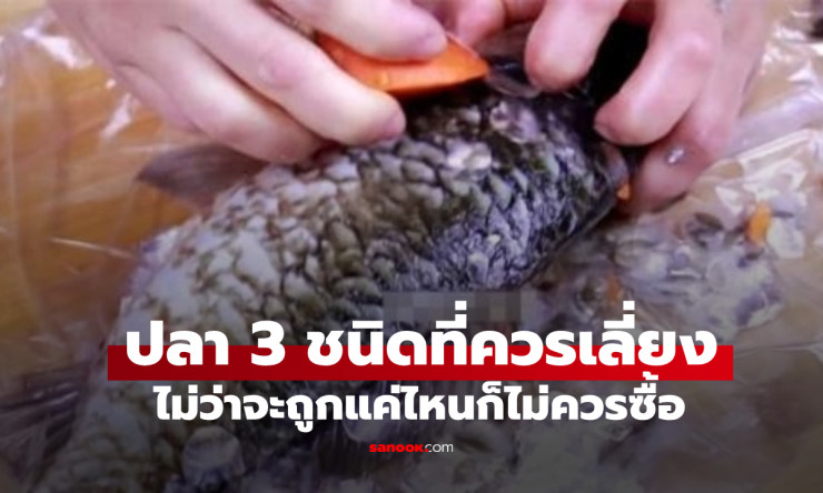 ไปตลาดเจอปลา 3 ชนิดนี้ ให้เลี่ยงทันที ไม่ว่าจะถูกแค่ไหนก็ไม่ควรซื้อ - fahbvip