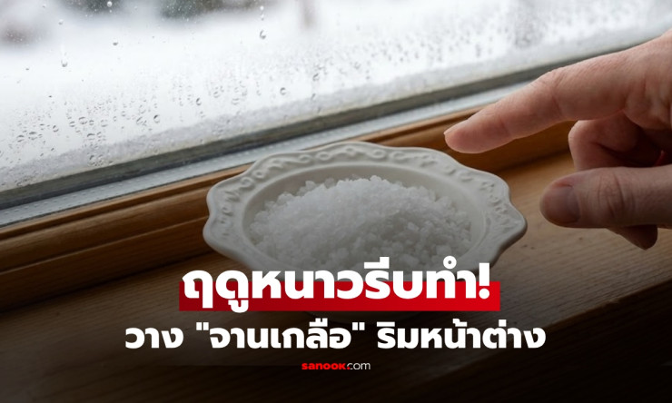 ทำไมกูรูแนะให้วางจานเกลือไว้ริมหน้าต่างในช่วงหน้าหนาว ต้องรู้แล้วรีบทำตาม! - fahbvip